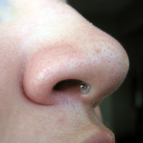 Aro retenedor O ring para piercings - Imagen 2